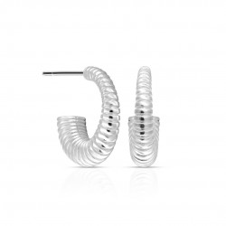 Small Horn Silver Earrings