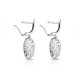 Enchanted Zircon Silver Earrings